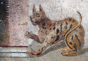 katten-i-dagens-samhalle-2